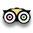 Tripadvisor Reviews